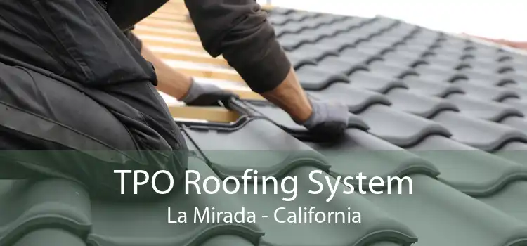 TPO Roofing System La Mirada - California